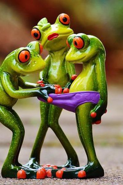 frogs-gbb3f6a83a_640